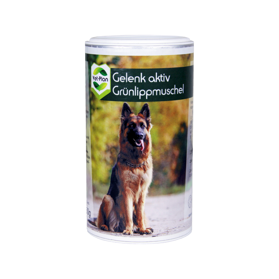 Grünlippmuschel