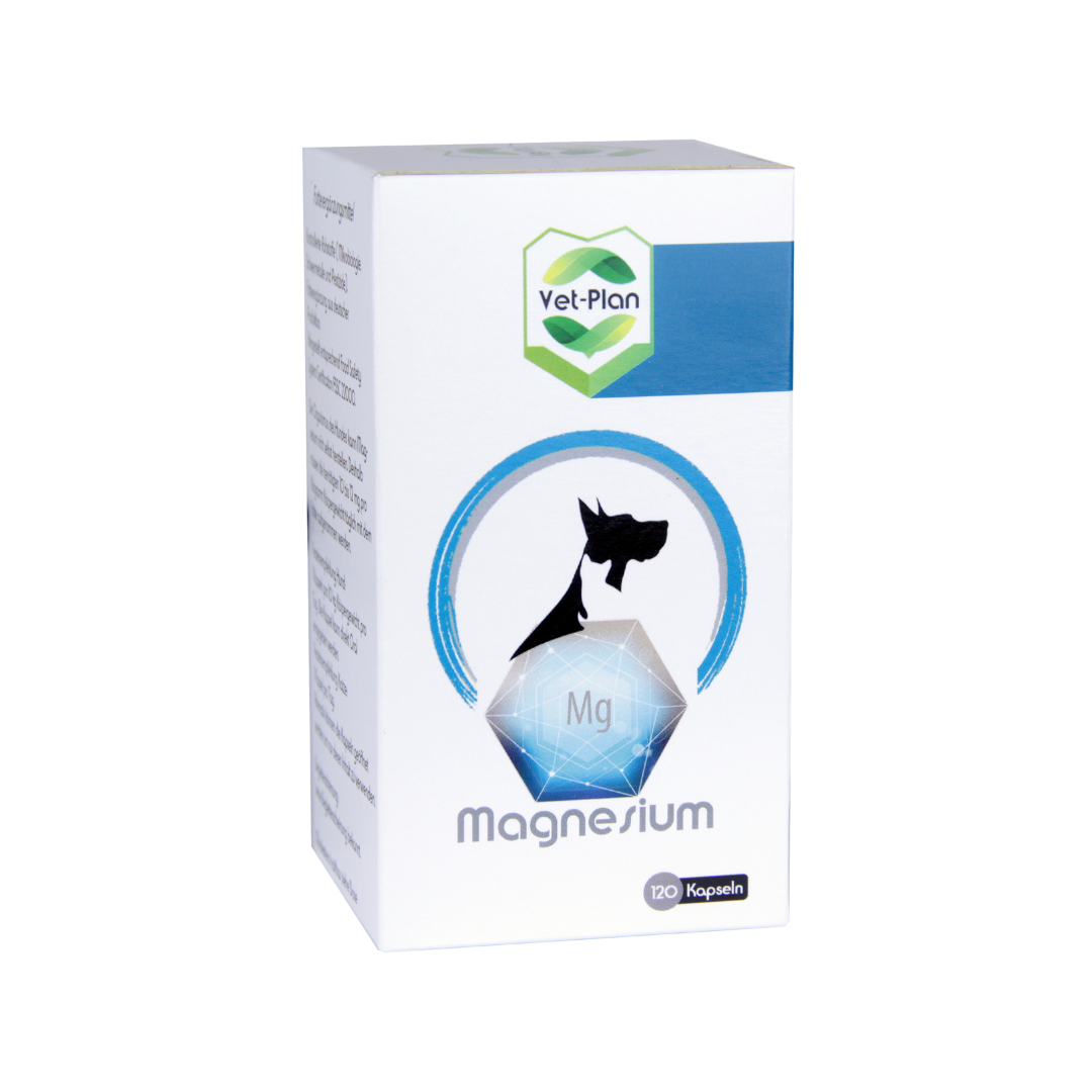 Magnesium | 120 Kapseln
