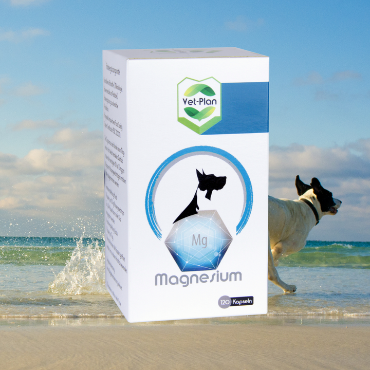 Magnesium | 120 Kapseln