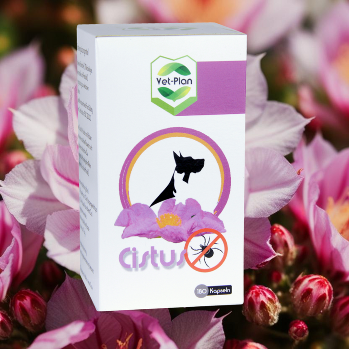 Cistus | 120 Kapseln